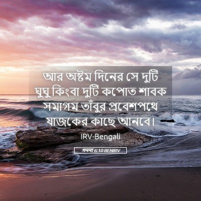 Picture 05 - গননা 6:10 BENIRV - আর অষ্টম দিনের সে - Bible Verse Picture