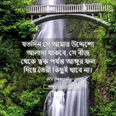 Picture 05 - গননা 6:4 BENIRV - যতদিন সে আমার - Bible Verse Picture
