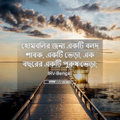 Picture 05 - গননা 7:21 BENIRV - হোমবলির জন্য একটি - Bible Verse Picture