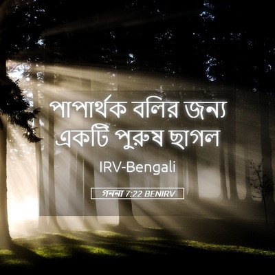 Picture 05 - গননা 7:22 BENIRV - পাপার্থক বলির - Bible Verse Picture