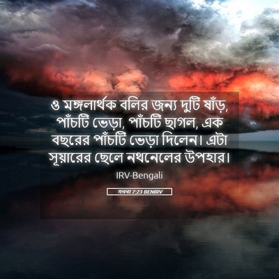 Picture 05 - গননা 7:23 BENIRV - ও মঙ্গলার্থক বলির - Bible Verse Picture