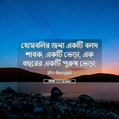 Picture 05 - গননা 7:27 BENIRV - হোমবলির জন্য একটি - Bible Verse Picture