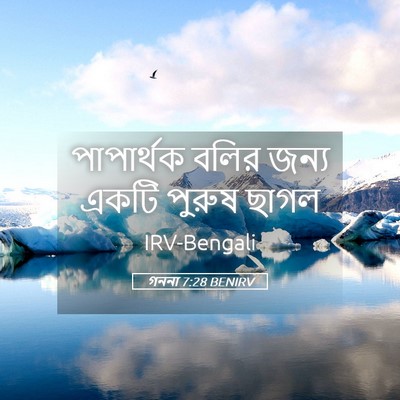 Picture 05 - গননা 7:28 BENIRV - পাপার্থক বলির - Bible Verse Picture