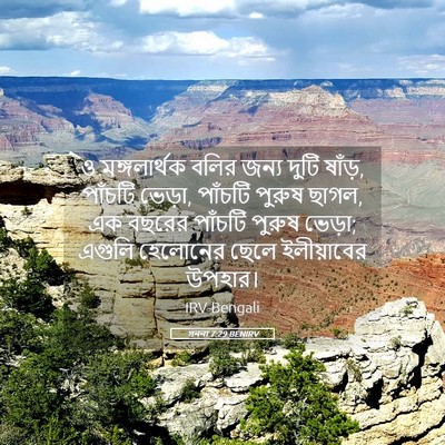 Picture 05 - গননা 7:29 BENIRV - ও মঙ্গলার্থক বলির - Bible Verse Picture