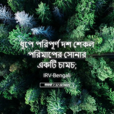 Picture 05 - গননা 7:32 BENIRV - ধূপে পরিপূর্ণ দশ - Bible Verse Picture