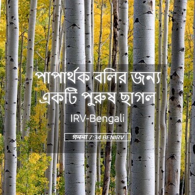 Picture 05 - গননা 7:34 BENIRV - পাপার্থক বলির - Bible Verse Picture