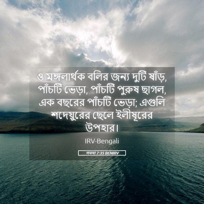 Picture 05 - গননা 7:35 BENIRV - ও মঙ্গলার্থক বলির - Bible Verse Picture