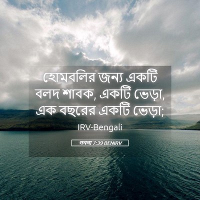 Picture 05 - গননা 7:39 BENIRV - হোমবলির জন্য একটি - Bible Verse Picture