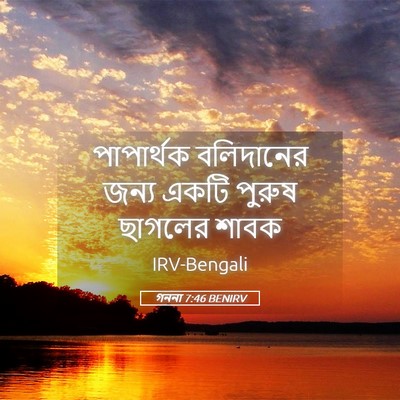 Picture 05 - গননা 7:46 BENIRV - পাপার্থক বলিদানের - Bible Verse Picture