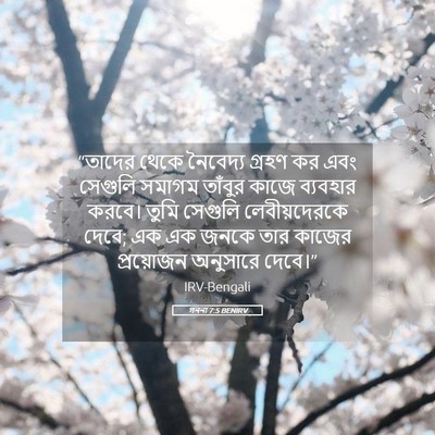 Picture 05 - গননা 7:5 BENIRV - “তাদের থেকে - Bible Verse Picture