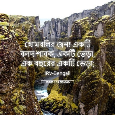 Picture 05 - গননা 7:51 BENIRV - হোমবলির জন্য একটি - Bible Verse Picture