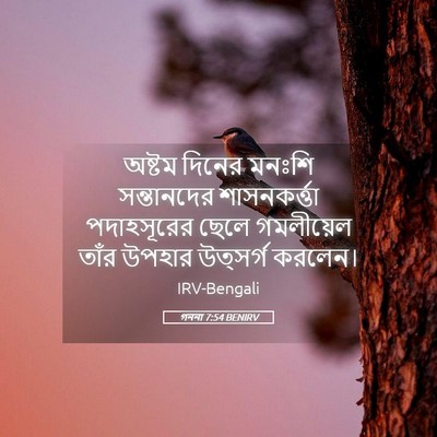 Picture 05 - গননা 7:54 BENIRV - অষ্টম দিনের মনঃশি - Bible Verse Picture