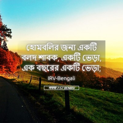 Picture 05 - গননা 7:57 BENIRV - হোমবলির জন্য একটি - Bible Verse Picture