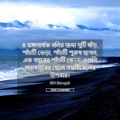 Picture 05 - গননা 7:59 BENIRV - ও মঙ্গলার্থক বলির - Bible Verse Picture