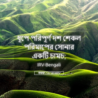 Picture 05 - গননা 7:62 BENIRV - ধূপে পরিপূর্ণ দশ - Bible Verse Picture
