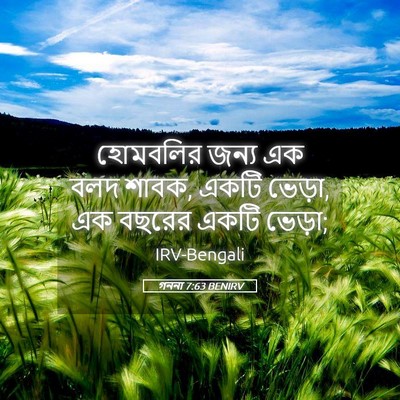 Picture 05 - গননা 7:63 BENIRV - হোমবলির জন্য এক - Bible Verse Picture