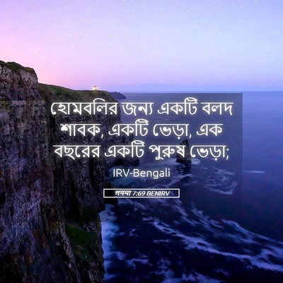 Picture 05 - গননা 7:69 BENIRV - হোমবলির জন্য একটি - Bible Verse Picture