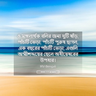 Picture 05 - গননা 7:71 BENIRV - ও মঙ্গলার্থক বলির - Bible Verse Picture