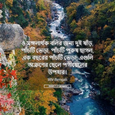 Picture 05 - গননা 7:77 BENIRV - ও মঙ্গলার্থক বলির - Bible Verse Picture