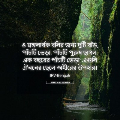 Picture 05 - গননা 7:83 BENIRV - ও মঙ্গলার্থক বলির - Bible Verse Picture