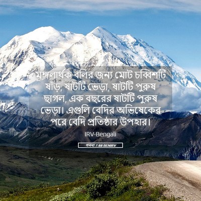 Picture 05 - গননা 7:88 BENIRV - মঙ্গলার্থক বলির - Bible Verse Picture