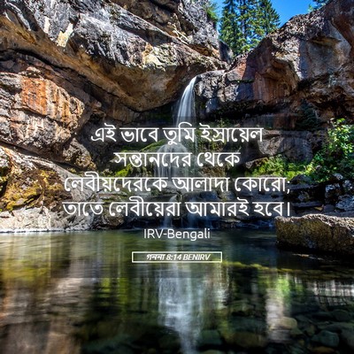 Picture 05 - গননা 8:14 BENIRV - এই ভাবে তুমি - Bible Verse Picture