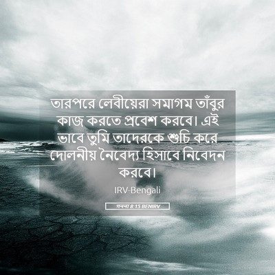 Picture 05 - গননা 8:15 BENIRV - তারপরে লেবীয়েরা - Bible Verse Picture