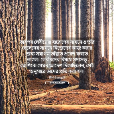 Picture 05 - গননা 8:22 BENIRV - তারপর লেবীয়েরা - Bible Verse Picture