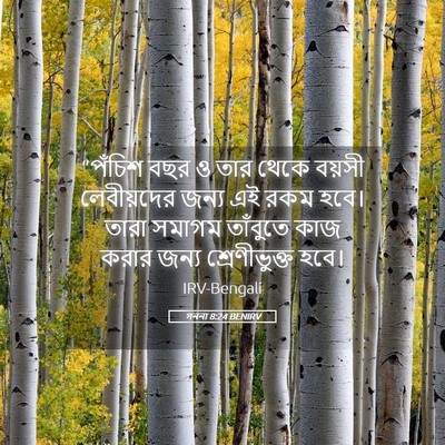 Picture 05 - গননা 8:24 BENIRV - “পঁচিশ বছর ও তার - Bible Verse Picture