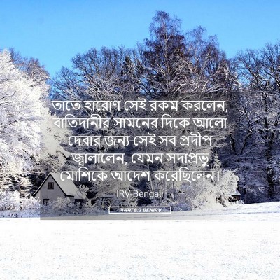 Picture 05 - গননা 8:3 BENIRV - তাতে হারোণ সেই রকম - Bible Verse Picture