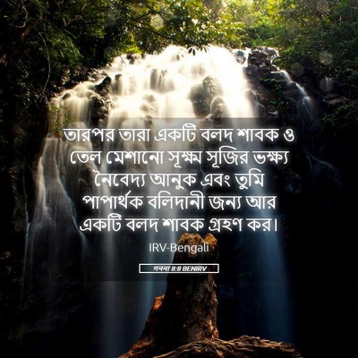 Picture 05 - গননা 8:8 BENIRV - তারপর তারা একটি - Bible Verse Picture