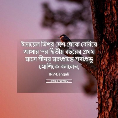 Picture 05 - গননা 9:1 BENIRV - ইস্রায়েল মিশর - Bible Verse Picture