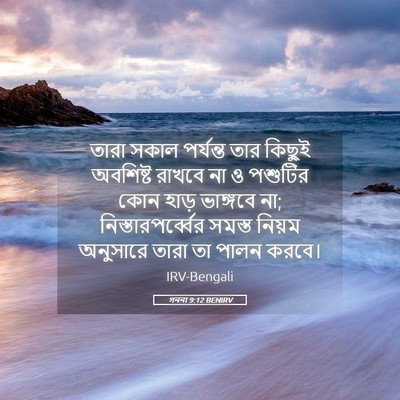 Picture 05 - গননা 9:12 BENIRV - তারা সকাল পর্যন্ত - Bible Verse Picture