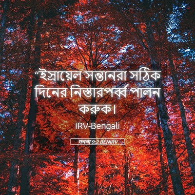 Picture 05 - গননা 9:2 BENIRV - “ইস্রায়েল - Bible Verse Picture