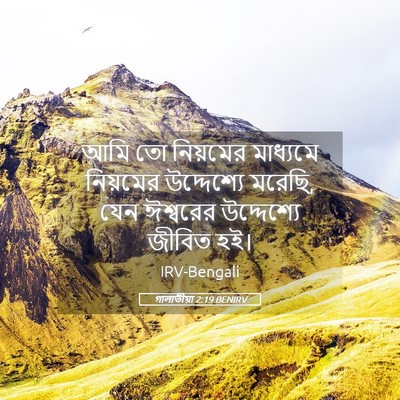 Picture 05 - গালাতীয়া 2:19 BENIRV - আমি তো নিয়মের - Bible Verse Picture