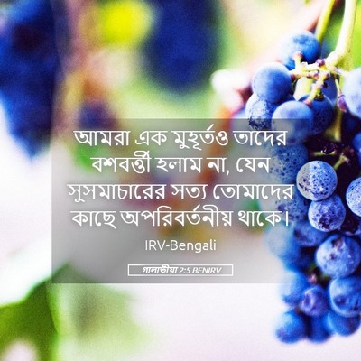 Picture 05 - গালাতীয়া 2:5 BENIRV - আমরা এক মুহূর্তও - Bible Verse Picture