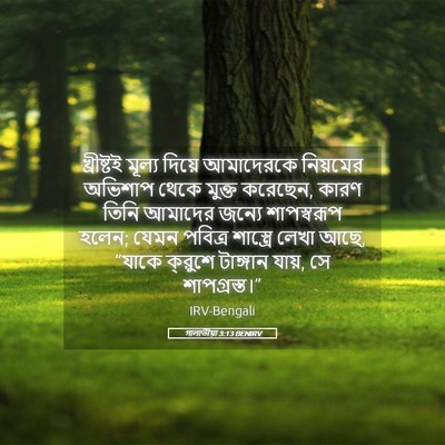 Picture 05 - গালাতীয়া 3:13 BENIRV - খ্রীষ্টই মূল্য - Bible Verse Picture