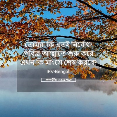 Picture 05 - গালাতীয়া 3:3 BENIRV - তোমরা কি এতই - Bible Verse Picture