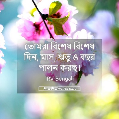 Picture 05 - গালাতীয়া 4:10 BENIRV - তোমরা বিশেষ বিশেষ - Bible Verse Picture