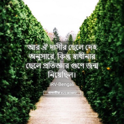 Picture 05 - গালাতীয়া 4:23 BENIRV - আর ঐ দাসীর ছেলে দেহ - Bible Verse Picture