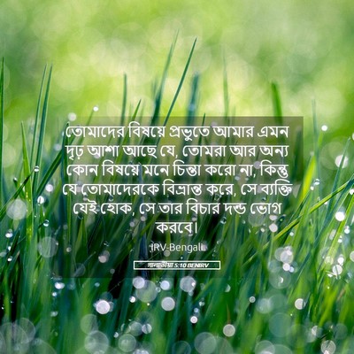 Picture 05 - গালাতীয়া 5:10 BENIRV - তোমাদের বিষয়ে - Bible Verse Picture