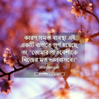 Picture 05 - গালাতীয়া 5:14 BENIRV - কারণ সমস্ত - Bible Verse Picture