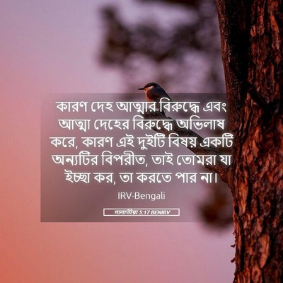 Picture 05 - গালাতীয়া 5:17 BENIRV - কারণ দেহ আত্মার - Bible Verse Picture