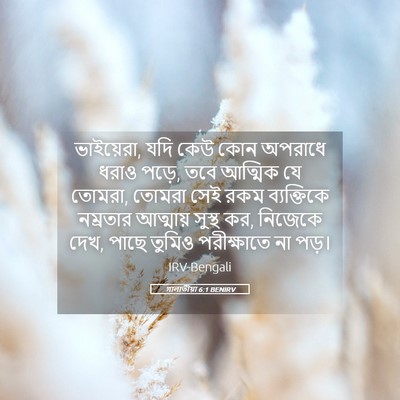 Picture 05 - গালাতীয়া 6:1 BENIRV - ভাইয়েরা, যদি কেউ - Bible Verse Picture
