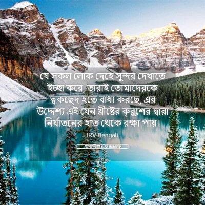 Picture 05 - গালাতীয়া 6:12 BENIRV - যে সকল লোক দেহে - Bible Verse Picture