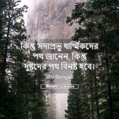Picture 05 - গীতমালা 1:6 BENIRV - কিন্তু সদাপ্রভুু - Bible Verse Picture