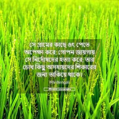 Picture 05 - গীতমালা 10:8 BENIRV - সে গ্রামের কাছে ওৎ - Bible Verse Picture