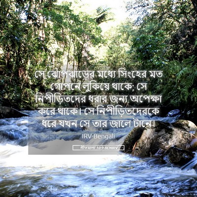 Picture 05 - গীতমালা 10:9 BENIRV - সে ঝোপঝাড়ের - Bible Verse Picture