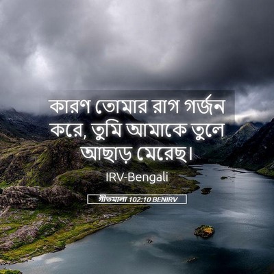 Picture 05 - গীতমালা 102:10 BENIRV - কারণ তোমার রাগ - Bible Verse Picture