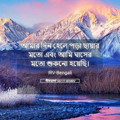Picture 05 - গীতমালা 102:11 BENIRV - আমার দিন হেলে পড়া - Bible Verse Picture
